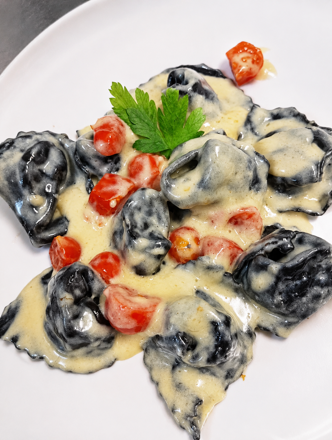 Tortelli al nero di seppia — Nuovo Antares